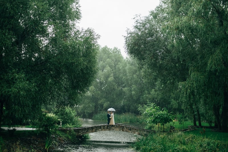 Whimsical Woodland Setting